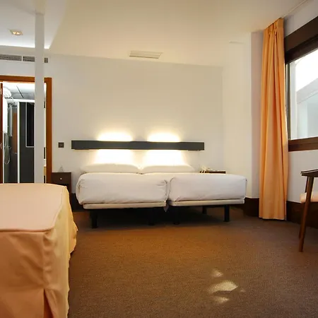 Hotel Domus Plaza Zocodover 2*